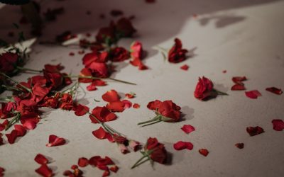 Il love bombing